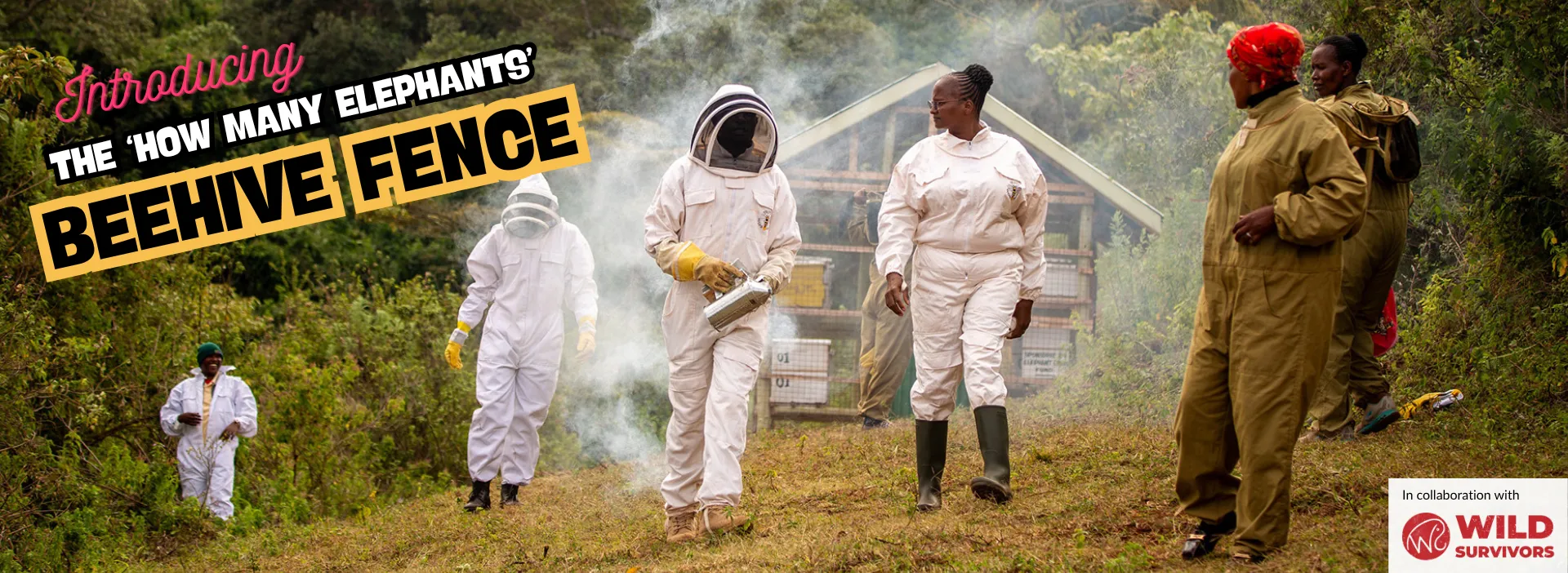 HME Beehive Project Banner