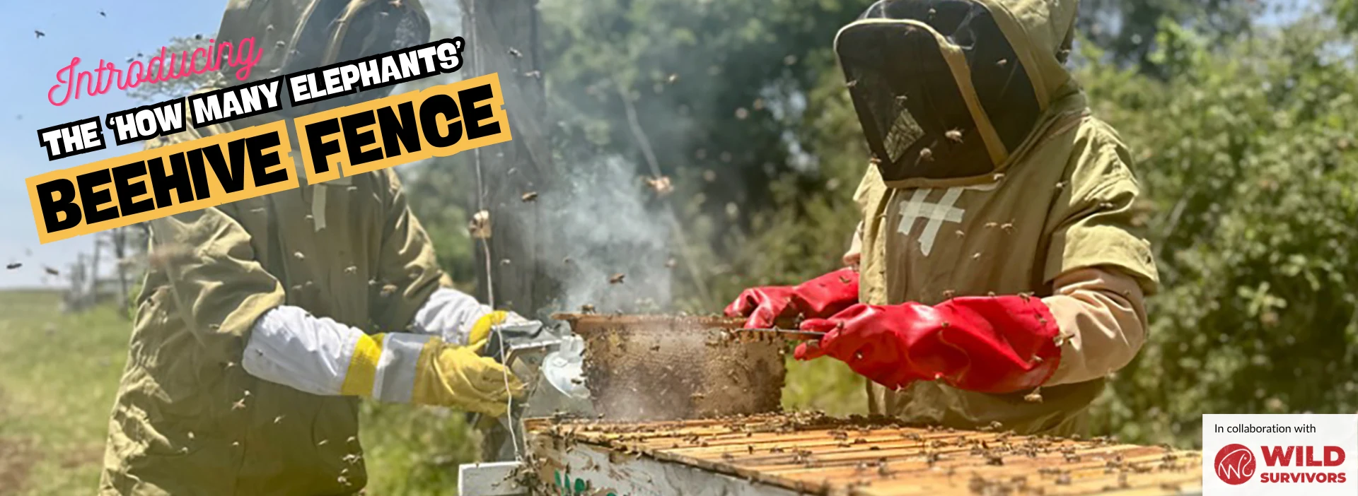HME Beehive Project Banner
